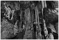Grand Palace Room, Lehman Cave. Great Basin National Park ( black and white)
