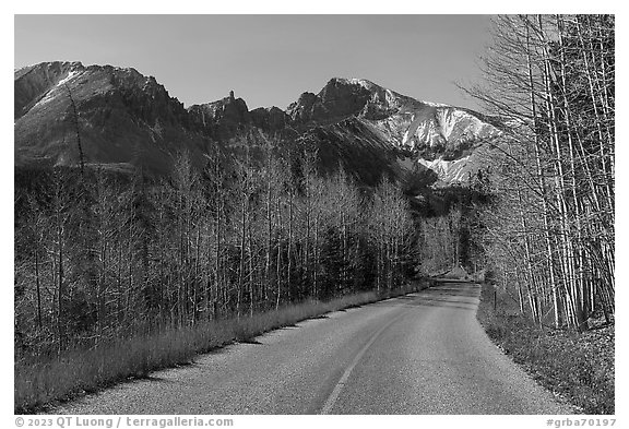 Wheeler Peak with bare aspen from Wheeler Peak Scenic Drive. Great Basin National Park (black and white)