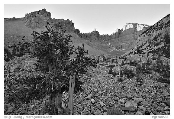 Rock bound cirque of Wheeler Peak, sunrise. Great Basin National Park (black and white)