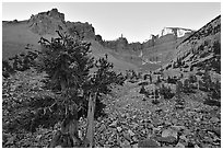 Rock bound cirque of Wheeler Peak, sunrise. Great Basin National Park ( black and white)