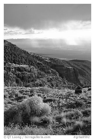 Sage covered slopes above Spring Valley. Great Basin National Park (black and white)