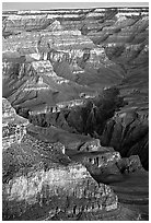 Temples at Dawn from Yvapai Point. Grand Canyon National Park ( black and white)