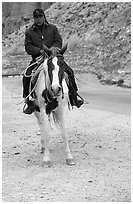 Havasu Indian on horse in Havasu Canyon. Grand Canyon National Park, Arizona, USA. (black and white)