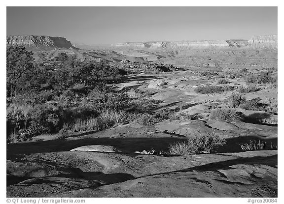 Rock slabs on  Esplanade, early morning. Grand Canyon National Park (black and white)