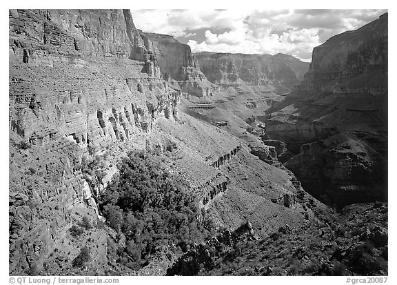 Thunder Spring Oasis at  mounth of Tapeats Creek secondary canyon. Grand Canyon National Park (black and white)