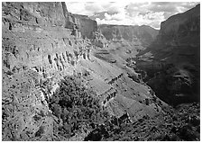 Thunder Spring Oasis at the mounth of Tapeats Creek secondary canyon. Grand Canyon  National Park ( black and white)