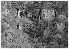 Thunder river lower waterfall, afternoon. Grand Canyon National Park ( black and white)