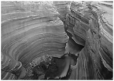 Slot canyon, Deer Creek Narrows. Grand Canyon National Park, Arizona, USA. (black and white)