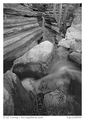 Entrance of Deer Creek Narrows. Grand Canyon  National Park (black and white)
