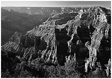 Canyon landscape. Grand Canyon  National Park ( black and white)