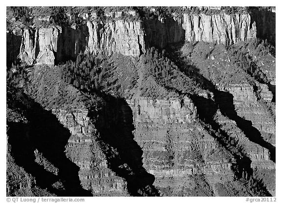 Canyon walls from Bright Angel Point, sunrise. Grand Canyon National Park (black and white)