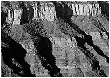 Canyon walls from Bright Angel Point, sunrise. Grand Canyon National Park ( black and white)