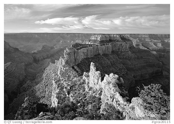 Wotans Throne seen from the North Rim, early morning. Grand Canyon  National Park (black and white)
