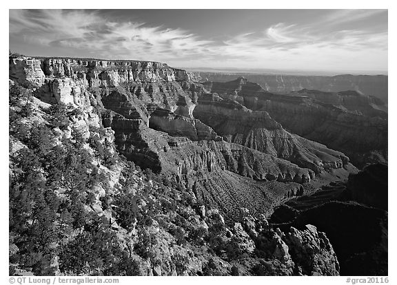Rim near Cape Royal. Grand Canyon  National Park (black and white)