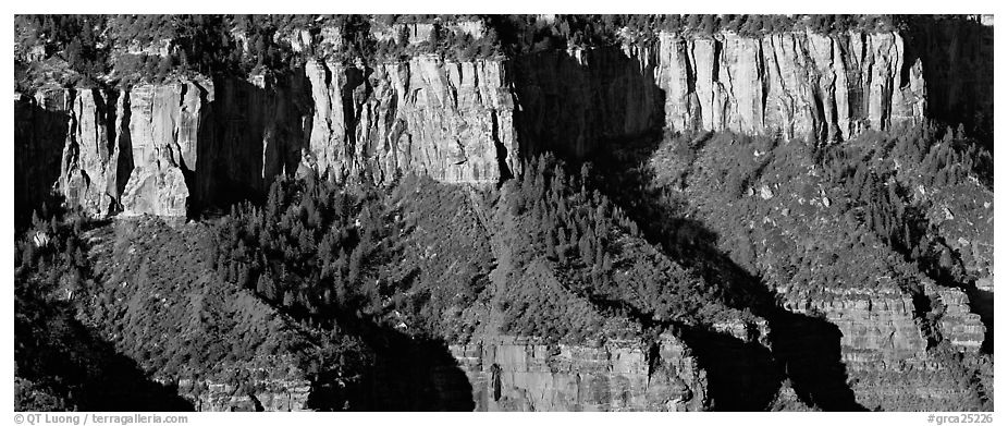 Canyon rim. Grand Canyon  National Park (black and white)