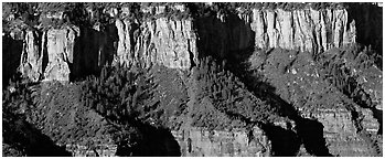 Canyon rim. Grand Canyon National Park (Panoramic black and white)