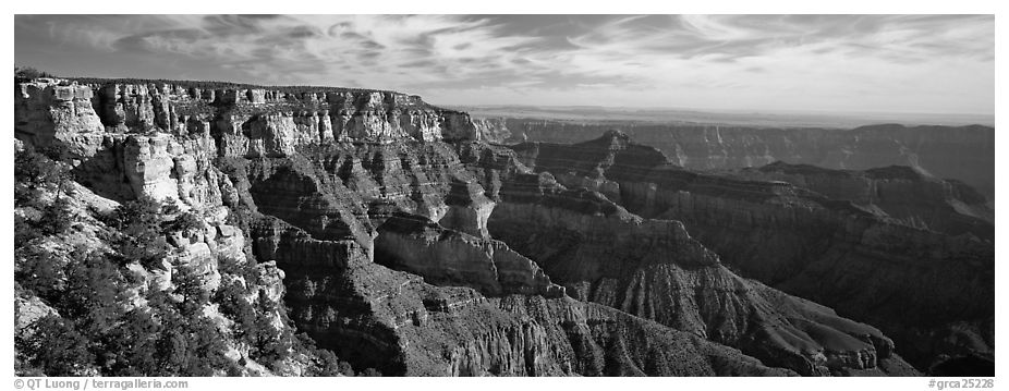 Canyon scenery from Cape Royal. Grand Canyon National Park (black and white)