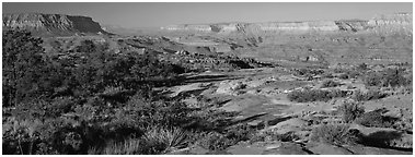 Esplanade Plateau scenery. Grand Canyon National Park (Panoramic black and white)