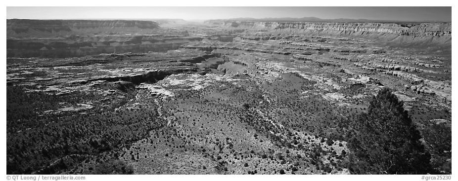 Plateau nested inside canyon. Grand Canyon  National Park (black and white)