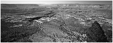 Plateau nested inside canyon. Grand Canyon National Park (Panoramic black and white)