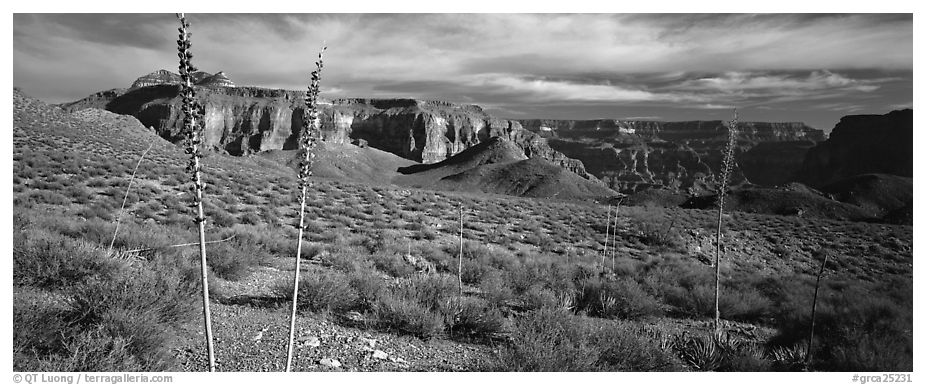 Inner Canyon scenery. Grand Canyon National Park (black and white)