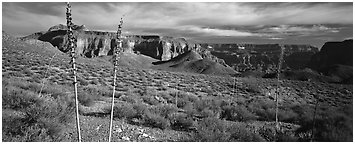 Inner Canyon scenery. Grand Canyon National Park (Panoramic black and white)