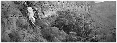 Thunder Spring waterfall. Grand Canyon National Park (Panoramic black and white)