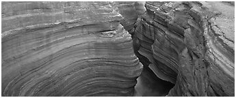 Sculptured rock in slot canyon. Grand Canyon National Park (Panoramic black and white)