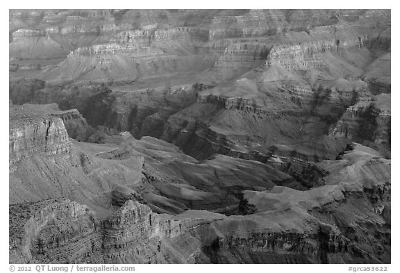 Colorado river gorge and buttes at dawn. Grand Canyon National Park (black and white)