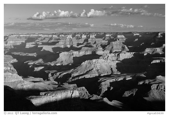 View from Moran Point, morning. Grand Canyon National Park (black and white)