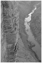 Cliffs and Colorado River, Toroweap. Grand Canyon National Park ( black and white)