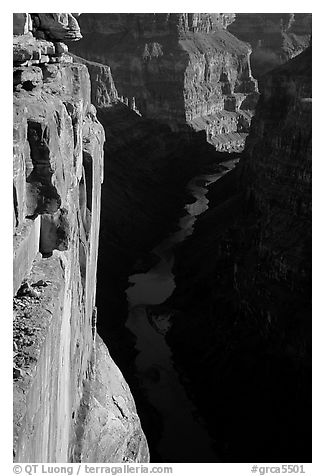 Colorado River and Cliffs at Toroweap, early morning. Grand Canyon National Park (black and white)