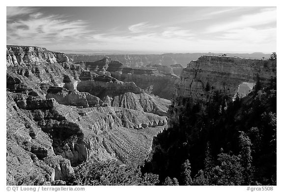 Cliffs and Angel's Arch near Cape Royal, morning. Grand Canyon National Park (black and white)