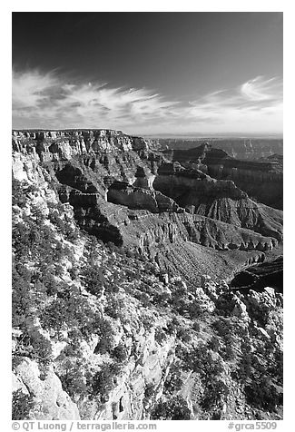 Cliffs near Cape Royal, morning. Grand Canyon National Park (black and white)