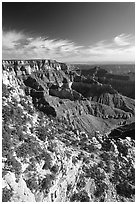 Cliffs near Cape Royal, morning. Grand Canyon National Park ( black and white)
