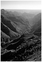 Green side canyon on  road to Point Sublime. Grand Canyon National Park, Arizona, USA. (black and white)
