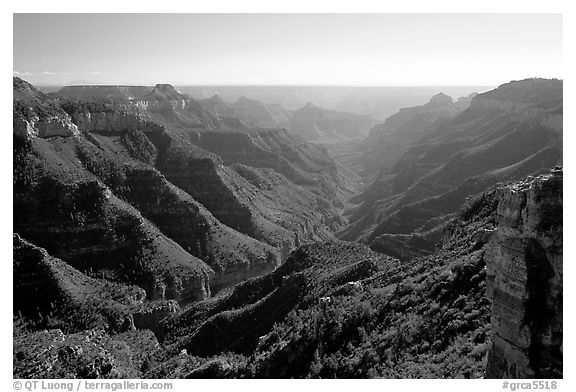 Lush side canyon, North Rim. Grand Canyon National Park, Arizona, USA.