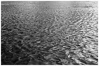 Ripples and reflections in Colorado River. Grand Canyon National Park ( black and white)
