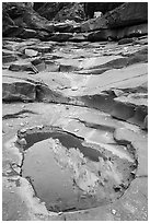 Reflection in pool, North Canyon. Grand Canyon National Park ( black and white)