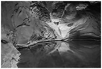 Reflection pool at base of sculpted spillway, North Canyon. Grand Canyon National Park ( black and white)