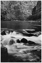 Colorado River rapids. Grand Canyon National Park ( black and white)