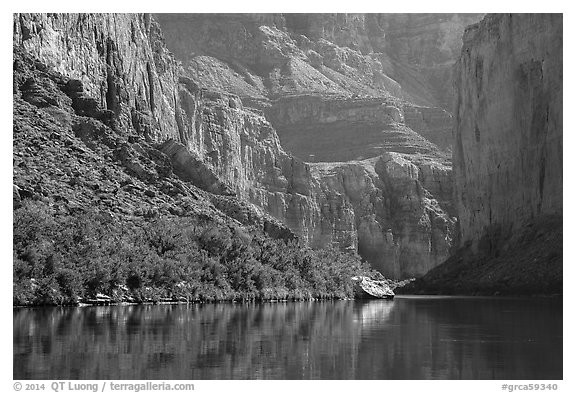 Colorado River and slope with vegetation in the spring, Marble Canyon. Grand Canyon National Park (black and white)