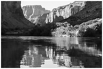 Cliffs and vegetation reflected in Colorado River, morning. Grand Canyon National Park ( black and white)