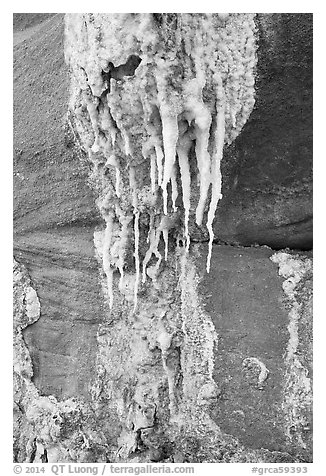 Close-up of salt stalagtites. Grand Canyon National Park (black and white)
