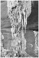 Close-up of salt stalagtites. Grand Canyon National Park ( black and white)