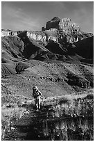 Backpacker, Escalante Route trail. Grand Canyon National Park ( black and white)