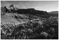 Dark plateau with sparse grasses, early morning. Grand Canyon National Park ( black and white)