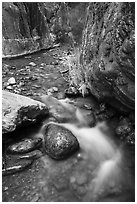Clear Creek gorge. Grand Canyon National Park ( black and white)