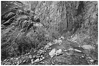 Cliffs and stream, Clear Creek. Grand Canyon National Park ( black and white)