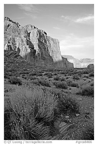 Red wall seen from Surprise Valley, sunset. Grand Canyon National Park (black and white)